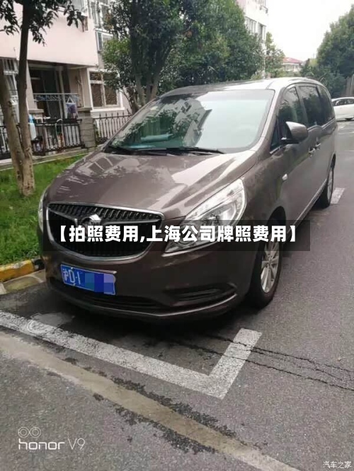 【拍照费用,上海公司牌照费用】