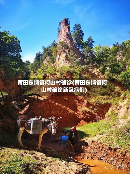 莆田东埔镇何山村确诊(莆田东埔镇何山村确诊新冠病例)