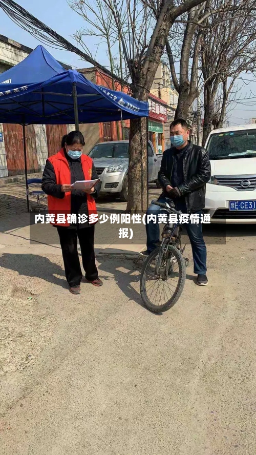 内黄县确诊多少例阳性(内黄县疫情通报)