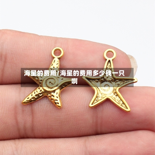 海星的费用/海星的费用多少钱一只啊-第3张图片