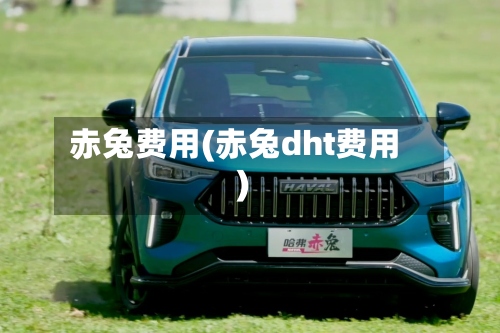 赤兔费用(赤兔dht费用)