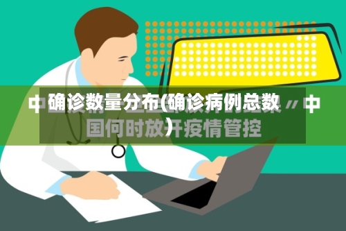 确诊数量分布(确诊病例总数)