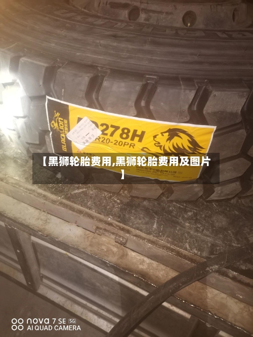 【黑狮轮胎费用,黑狮轮胎费用及图片】