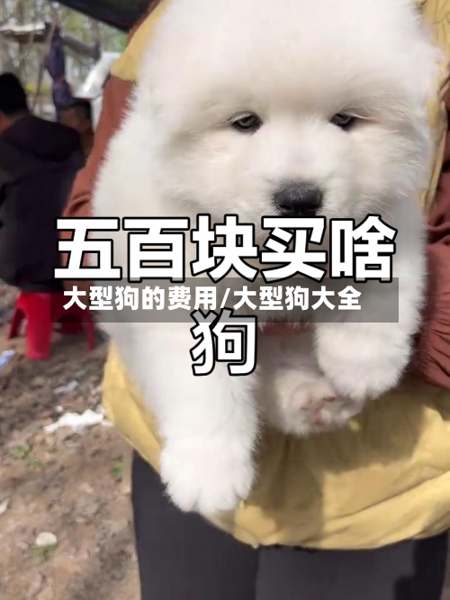 大型狗的费用/大型狗大全-第3张图片