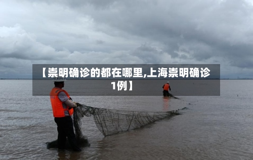 【崇明确诊的都在哪里,上海崇明确诊1例】-第2张图片