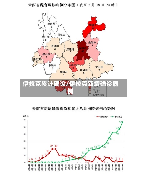 伊拉克累计确诊/伊拉克新增确诊病例