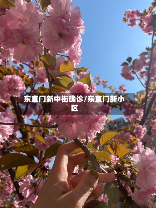 东直门新中街确诊/东直门新小区-第2张图片