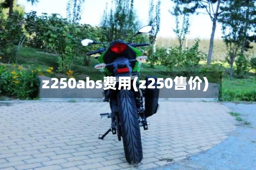 z250abs费用(z250售价)
