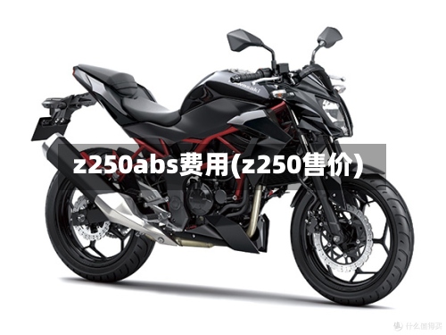 z250abs费用(z250售价)-第2张图片