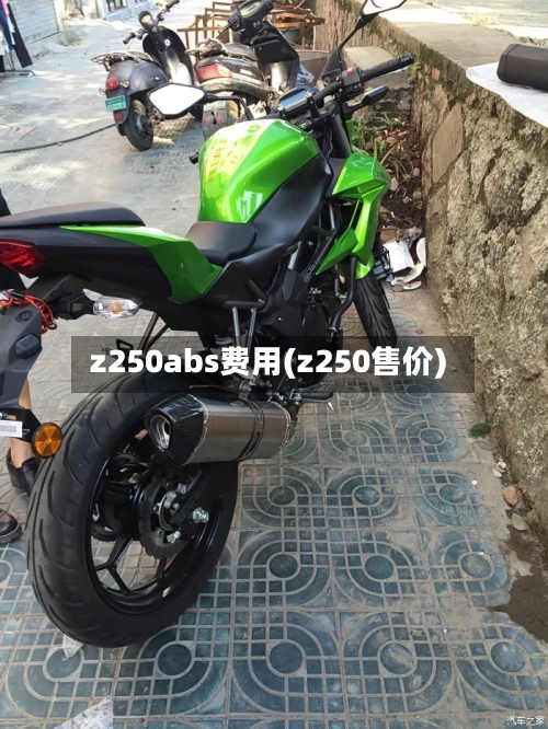 z250abs费用(z250售价)-第3张图片