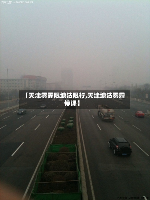 【天津雾霾限塘沽限行,天津塘沽雾霾停课】-第3张图片