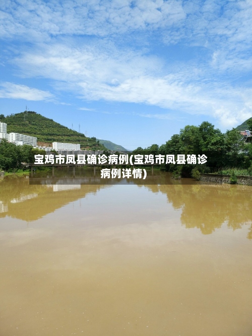 宝鸡市凤县确诊病例(宝鸡市凤县确诊病例详情)
