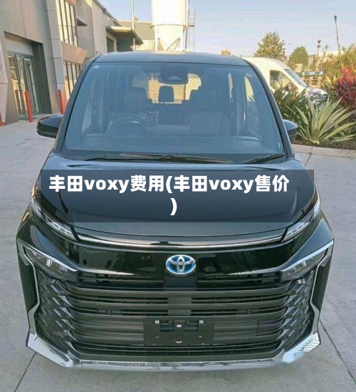 丰田voxy费用(丰田voxy售价)