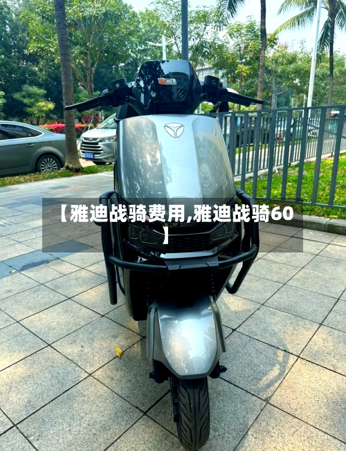 【雅迪战骑费用,雅迪战骑60】