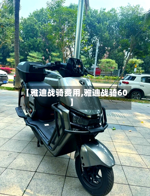 【雅迪战骑费用,雅迪战骑60】-第2张图片