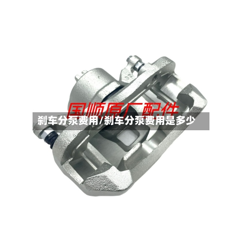 刹车分泵费用/刹车分泵费用是多少