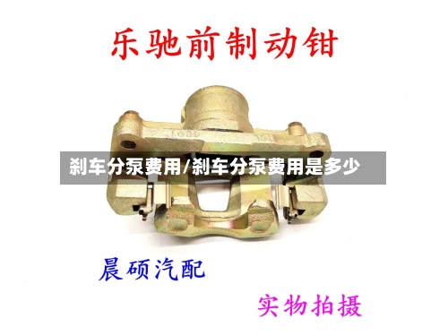 刹车分泵费用/刹车分泵费用是多少-第2张图片