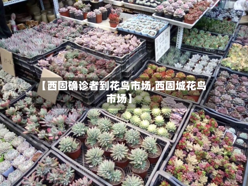 【西固确诊者到花鸟市场,西固城花鸟市场】