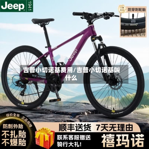 吉普小切诺基费用/吉普小切诺基叫什么-第2张图片