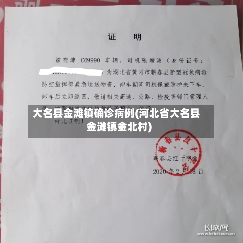 大名县金滩镇确诊病例(河北省大名县金滩镇金北村)-第2张图片