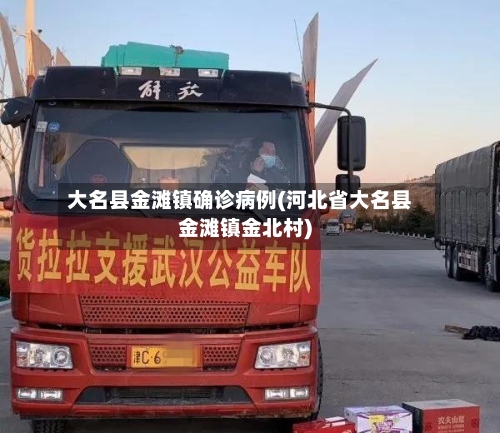 大名县金滩镇确诊病例(河北省大名县金滩镇金北村)