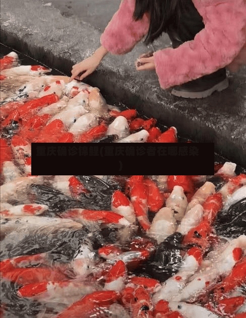 重庆确诊锦鲤(重庆确诊者在哪感染)