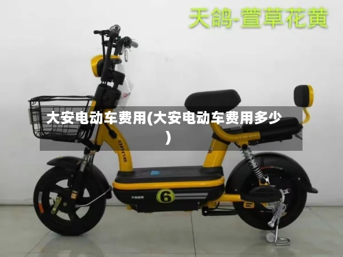 大安电动车费用(大安电动车费用多少)