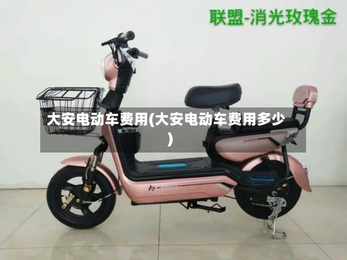 大安电动车费用(大安电动车费用多少)-第2张图片