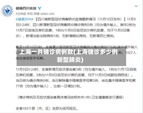 上海一共确诊病例数(上海确诊多少例新型肺炎)-第2张图片