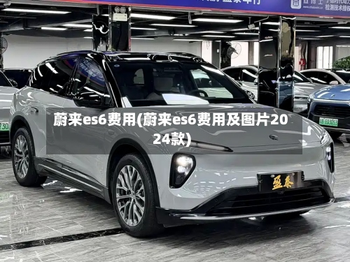 蔚来es6费用(蔚来es6费用及图片2024款)-第2张图片