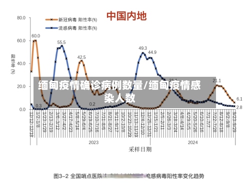 缅甸疫情确诊病例数量/缅甸疫情感染人数