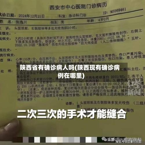 陕西省有确诊病人吗(陕西现有确诊病例在哪里)-第3张图片