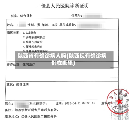 陕西省有确诊病人吗(陕西现有确诊病例在哪里)