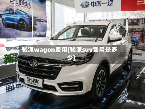 骏派wagon费用(骏派suv费用是多少)-第2张图片