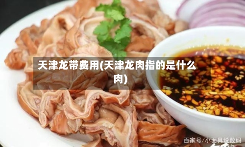 天津龙带费用(天津龙肉指的是什么肉)-第3张图片
