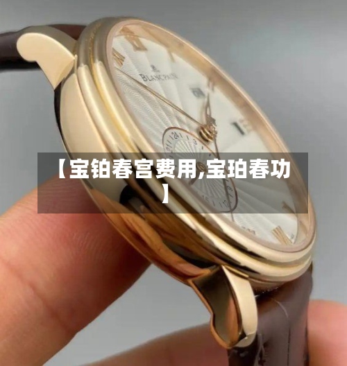 【宝铂春宫费用,宝珀春功】