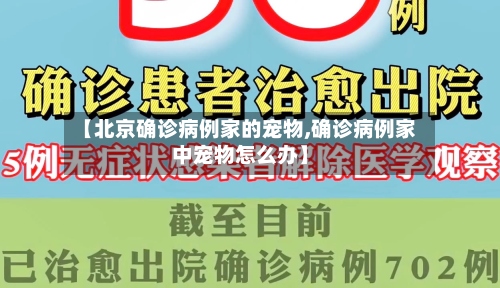 【北京确诊病例家的宠物,确诊病例家中宠物怎么办】