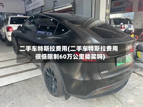 二手车特斯拉费用(二手车特斯拉费用很低限制60万公里能买吗)