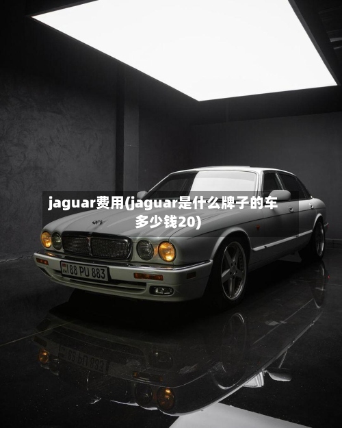 jaguar费用(jaguar是什么牌子的车多少钱20)-第2张图片