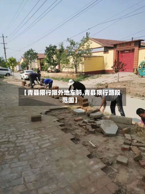 【青县限行限外地车吗,青县限行路段范围】-第2张图片