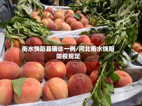 衡水饶阳县确诊一例/河北衡水饶阳防疫规定-第2张图片