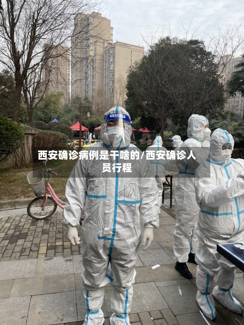 西安确诊病例是干啥的/西安确诊人员行程