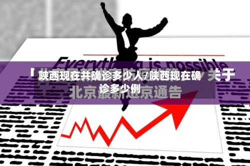 陕西现在共确诊多少人/陕西现在确诊多少例