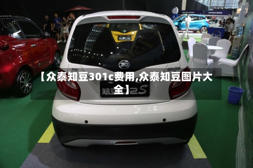 【众泰知豆301c费用,众泰知豆图片大全】