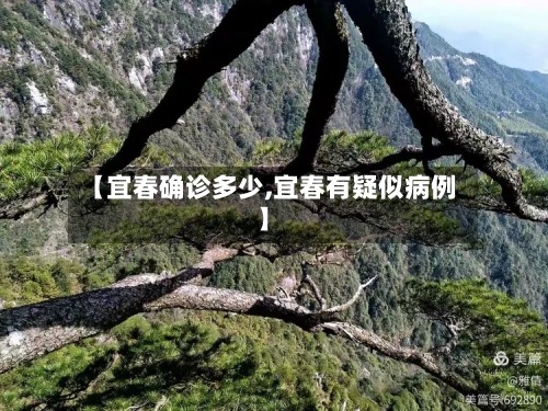 【宜春确诊多少,宜春有疑似病例】