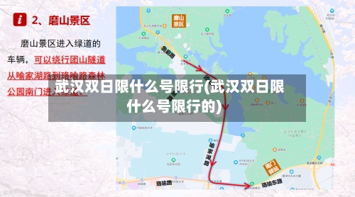 武汉双日限什么号限行(武汉双日限什么号限行的)-第2张图片