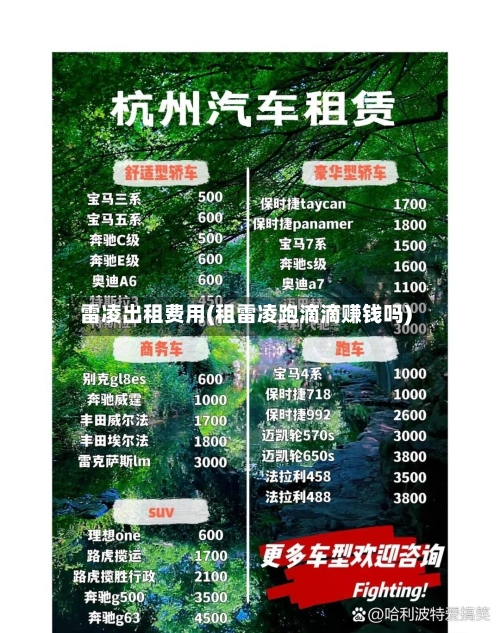 雷凌出租费用(租雷凌跑滴滴赚钱吗)