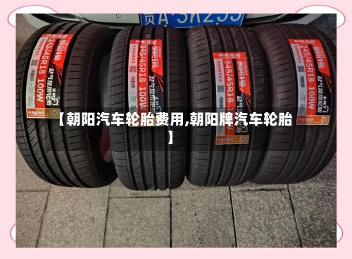 【朝阳汽车轮胎费用,朝阳牌汽车轮胎】-第2张图片
