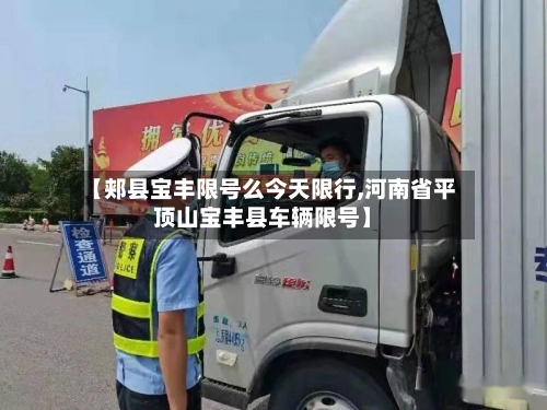【郏县宝丰限号么今天限行,河南省平顶山宝丰县车辆限号】-第3张图片