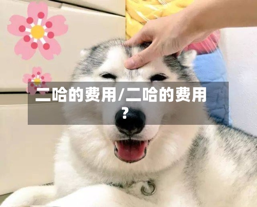 二哈的费用/二哈的费用?